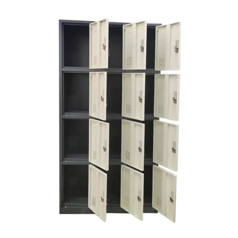 Locker 12 puertas calvac